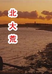 影片改编自查理·休斯顿写的同名小说，由达伦·阿伦诺夫斯基执导， 奥斯汀·巴特勒、佐伊·克罗维兹、马特·史密斯、列维·施瑞博尔等主演，故事聚焦一名精疲力竭的前棒球运动员汉克·汤普森，他无意中跌进1990年代纽约市中心的犯罪黑社会，展开一场狂暴的生存之战。