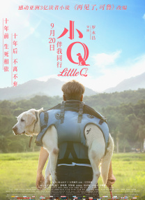这部动作片迷必看饕餮盛宴，注定是系列粉丝不可错过的终极狂欢。